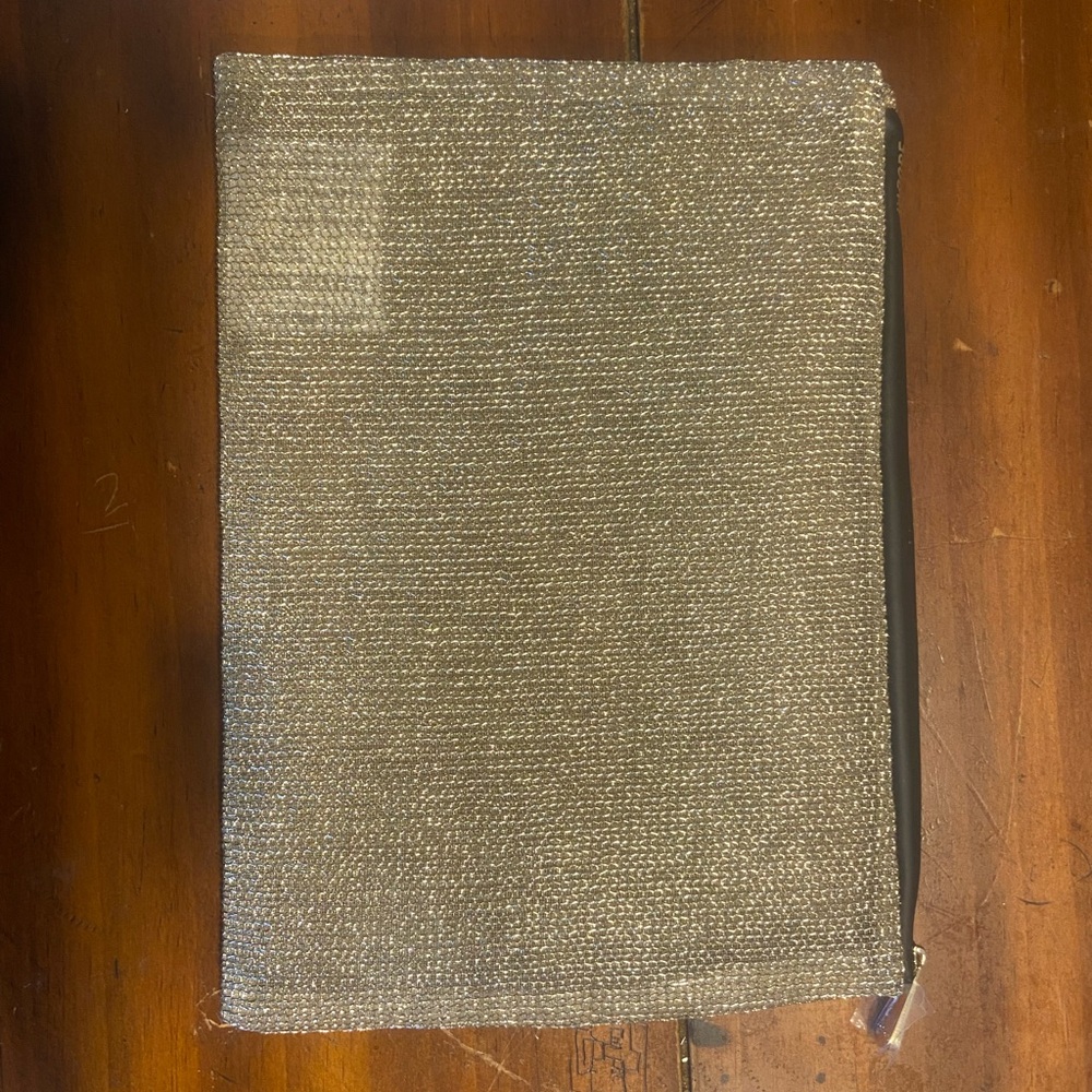 NEW IN BOX DIOR GOLD MESH POUCH *
